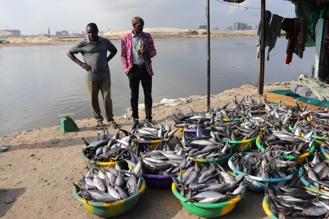 Zimbabwé pêche — Contraintes techniques — site 1