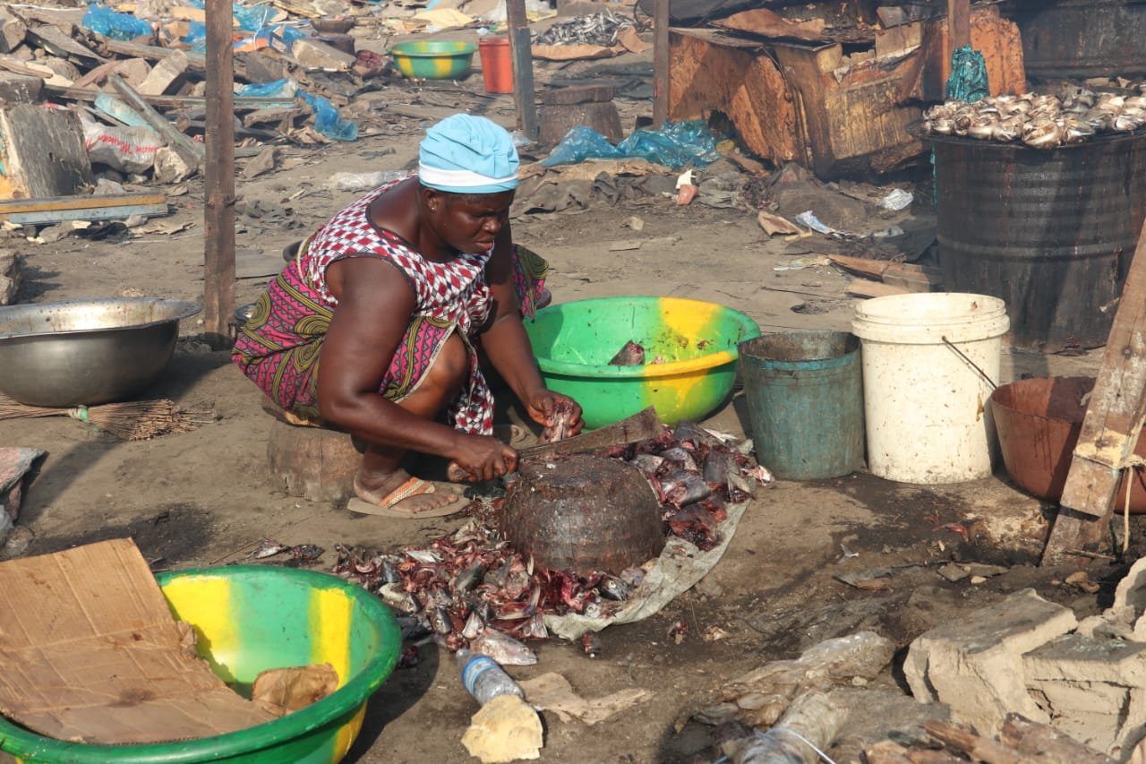 Zimbabwé pêche — Mareyeuses — plaidoyer pour un site aménagé